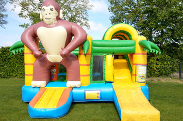 Springkussen ‘Bokito Multiplay’ huren