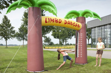 Zeskamp spel ‘Limbo Dansen’ huren