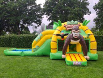 Multifun jungle 1