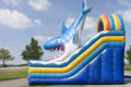 Springkussen ‘Mega Shark Slide’ huren