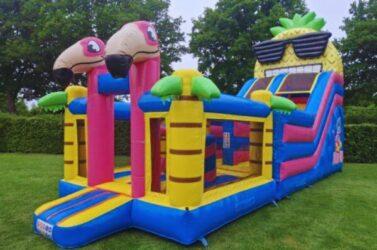 ananas slide