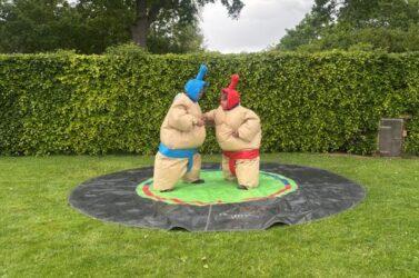 sumo 3
