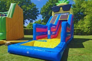 ananas slide met zwembad