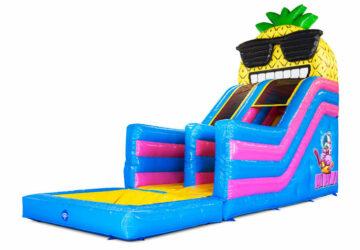 mega ananas slide 2