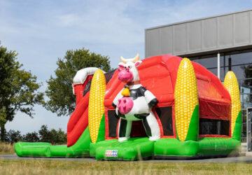 Multifun Boerderij+ballenpret