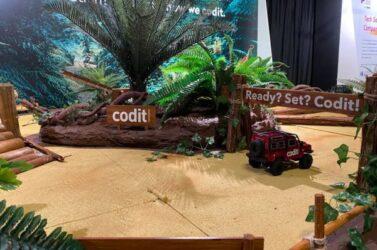 Jungle 1